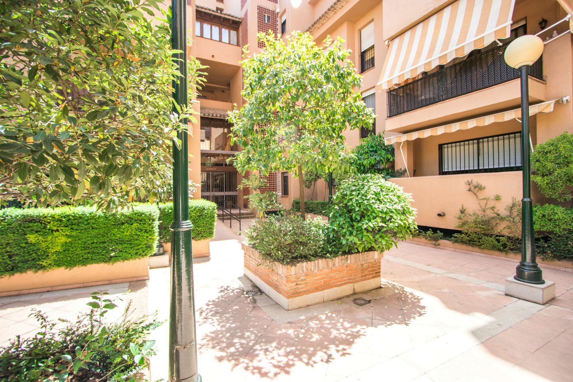Apartamento Almunia Granada Dış mekan fotoğraf